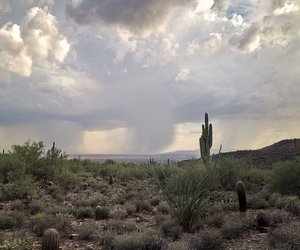 Read more about the article Monsoon Damage Prevention Part 1