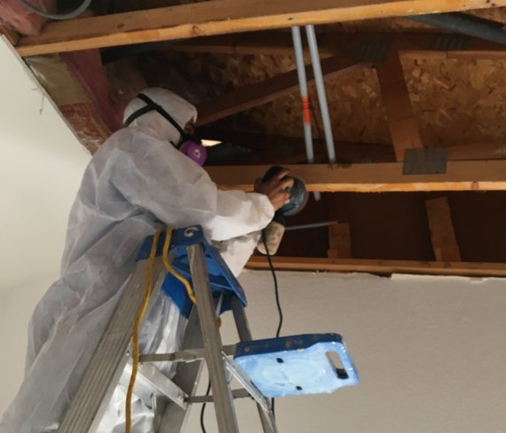 mold removal technician