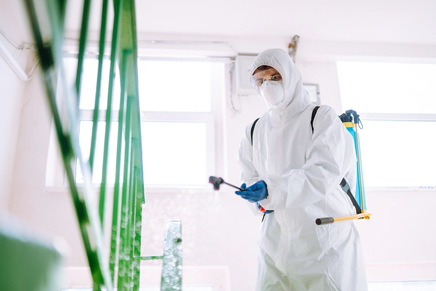 mold-cleaning